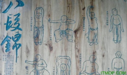 八段锦视频教学口令全套,轻松养生，健康生活新体验